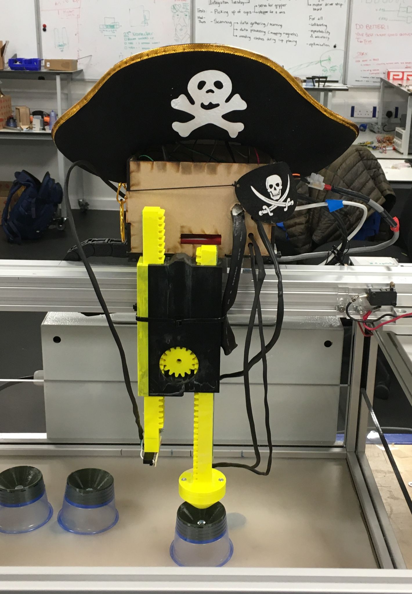 Pick and Place Pirate Robot Image